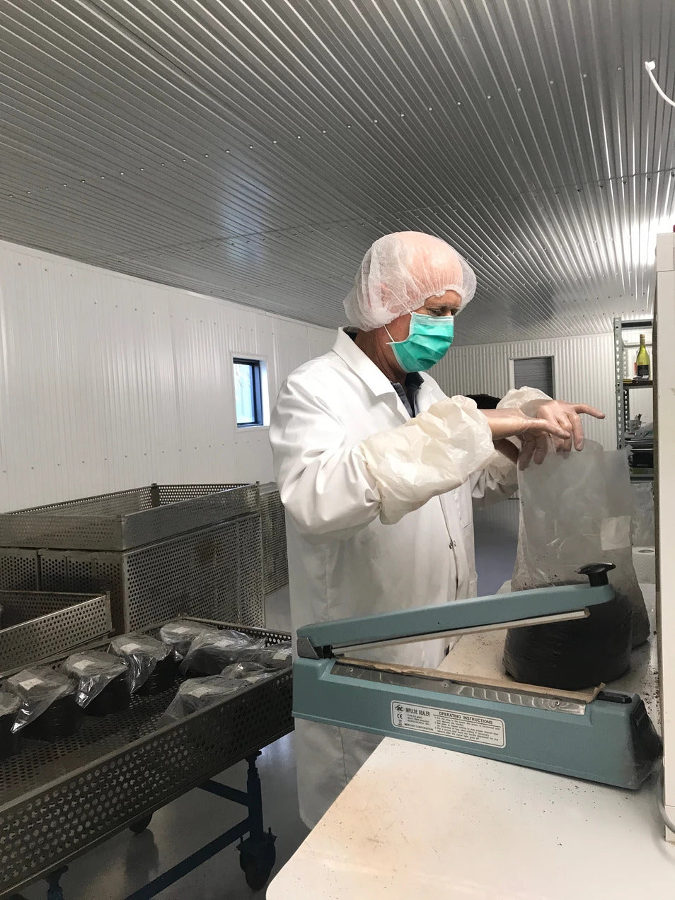 Mister Mycology: A day in the life of a mushroom grower