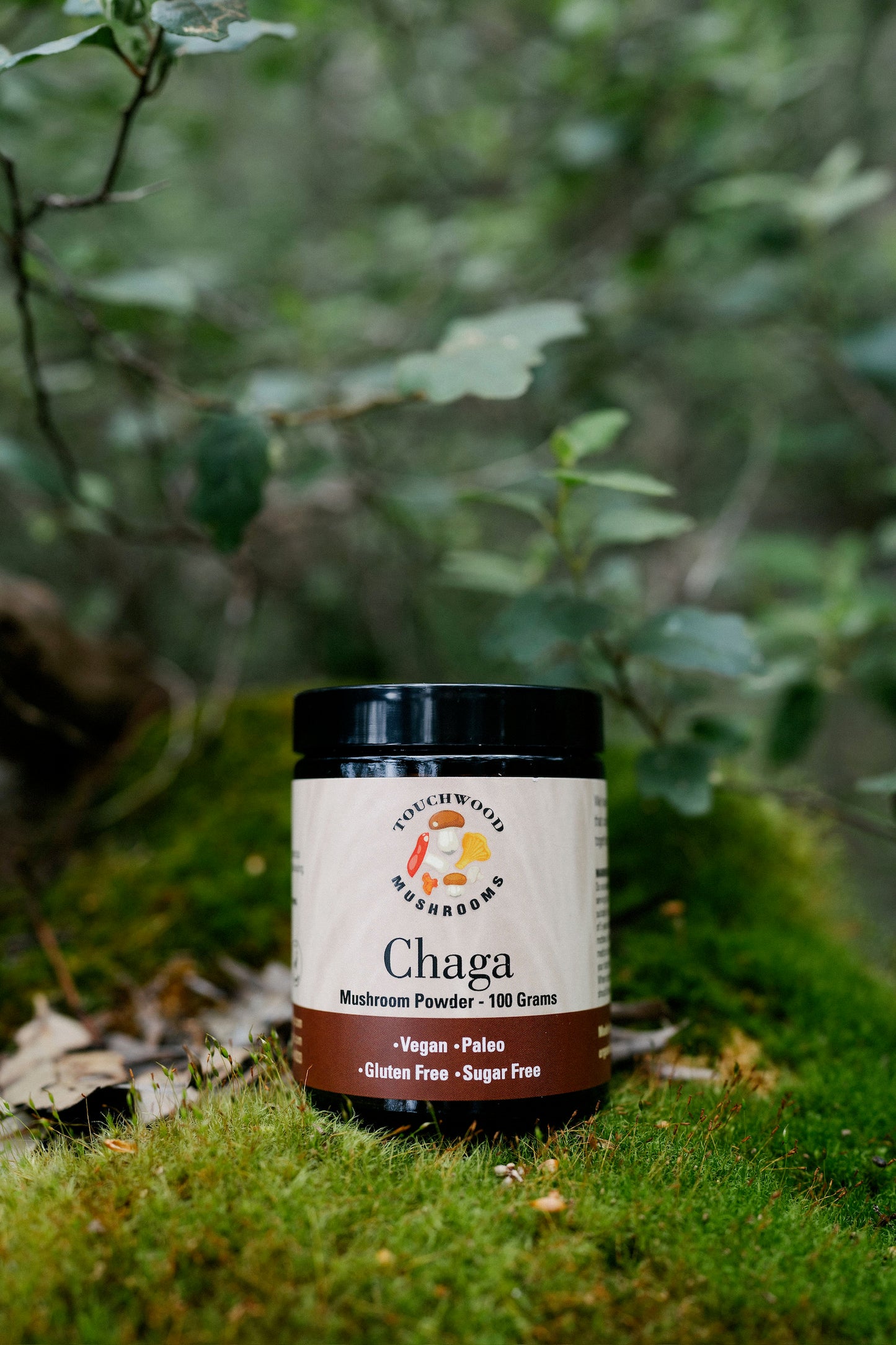 A jar of organic Chaga mushroom powder placed on a mossy surface with greenery in the background.