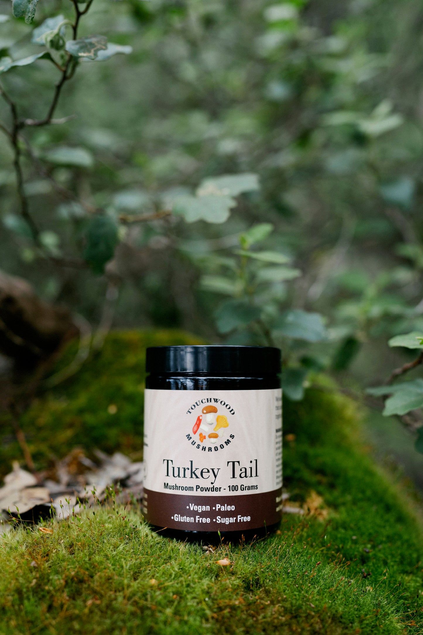 A jar of Organic Turkey Tail Mushroom Powder placed on a mossy surface with green foliage in the background.