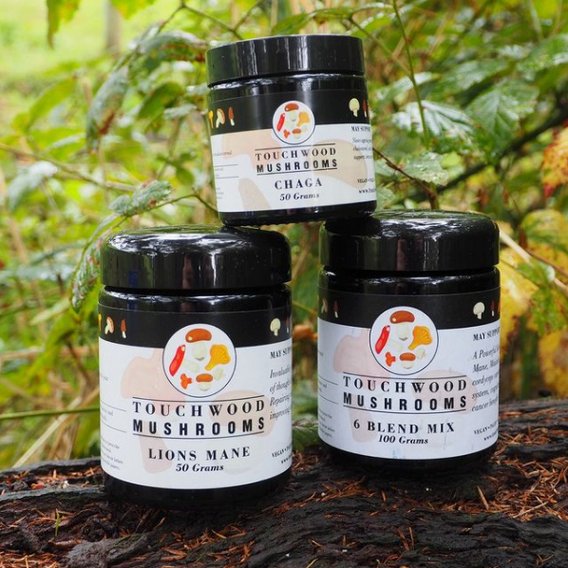 Touchwood Medicinal Mushroom powders now come in liquid form