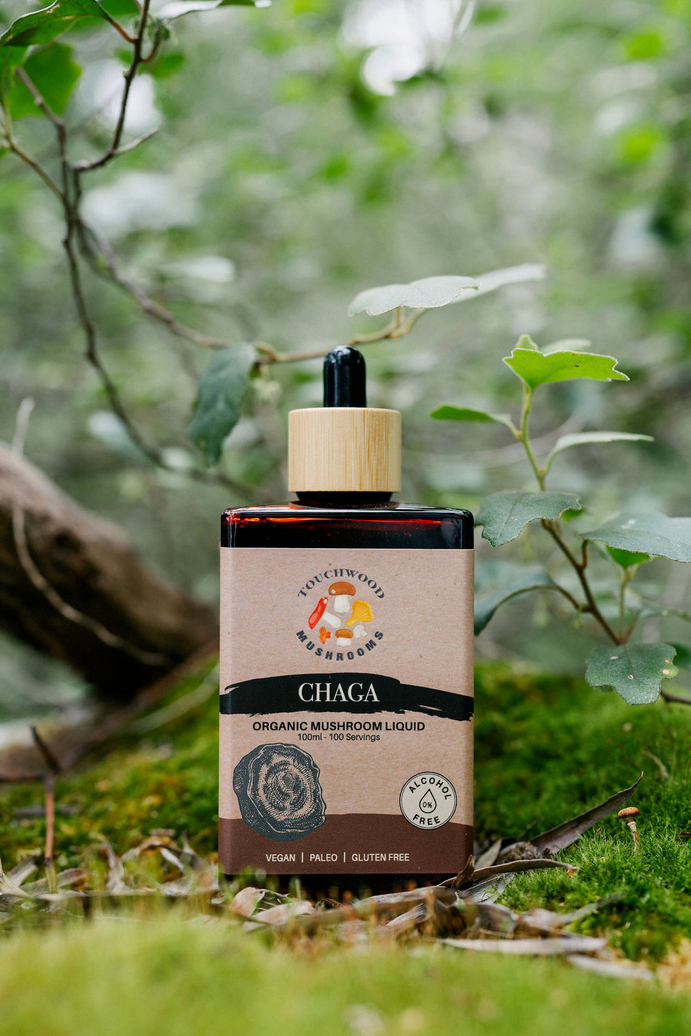 Chaga Alcohol Free Mushroom Liquid