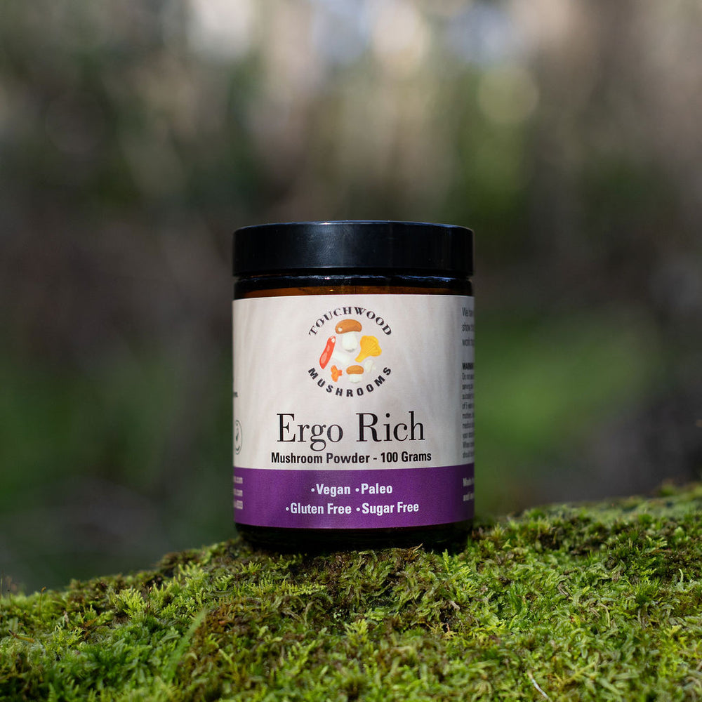 Jar of Ergo Rich mushroom powder on a mossy surface with a blurred natural background