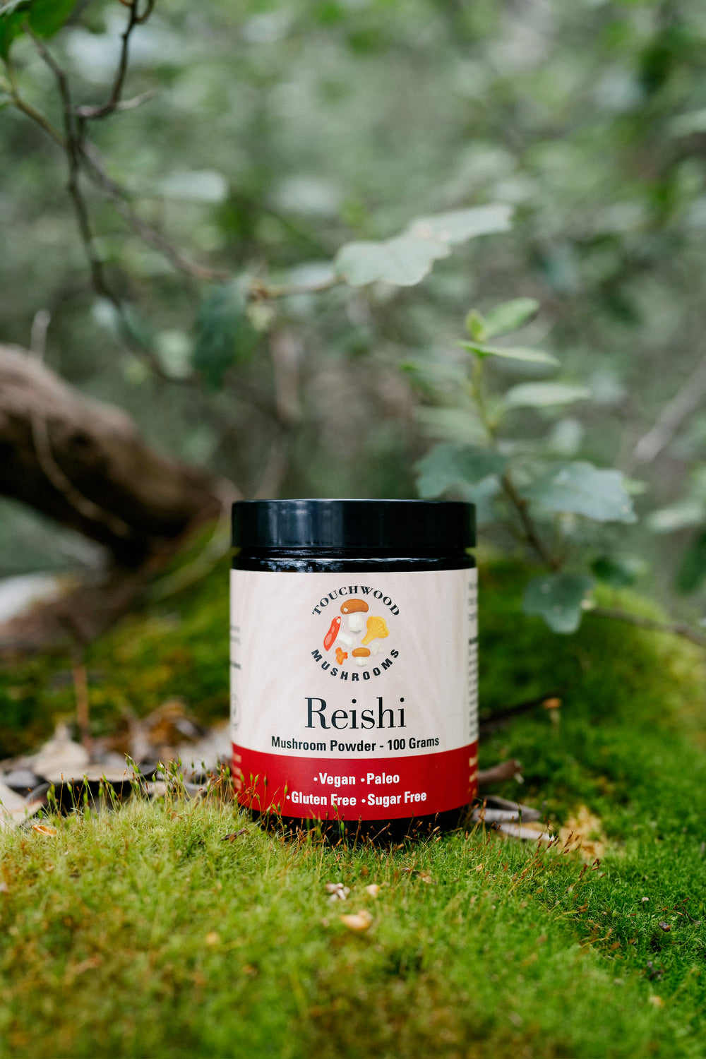 Organic Reishi Mushroom Powder